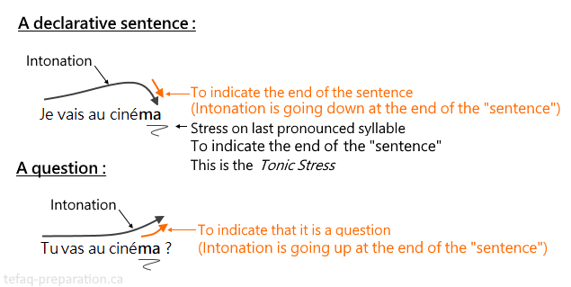 intonation on final syllable of sentence in French